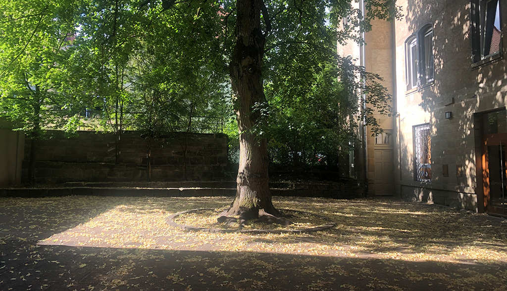 Schulhof, Baum mittig